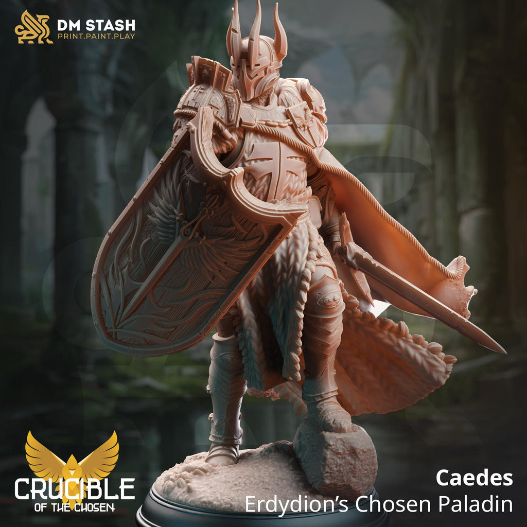 Crucible of the Chosen April 2024 Release | Paintable 3D Resin Printed Miniature by DM Stash