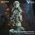 Cordelia the Homestead Hermit | Paintable Bust 3D Resin Printed Miniature by DM Stash
