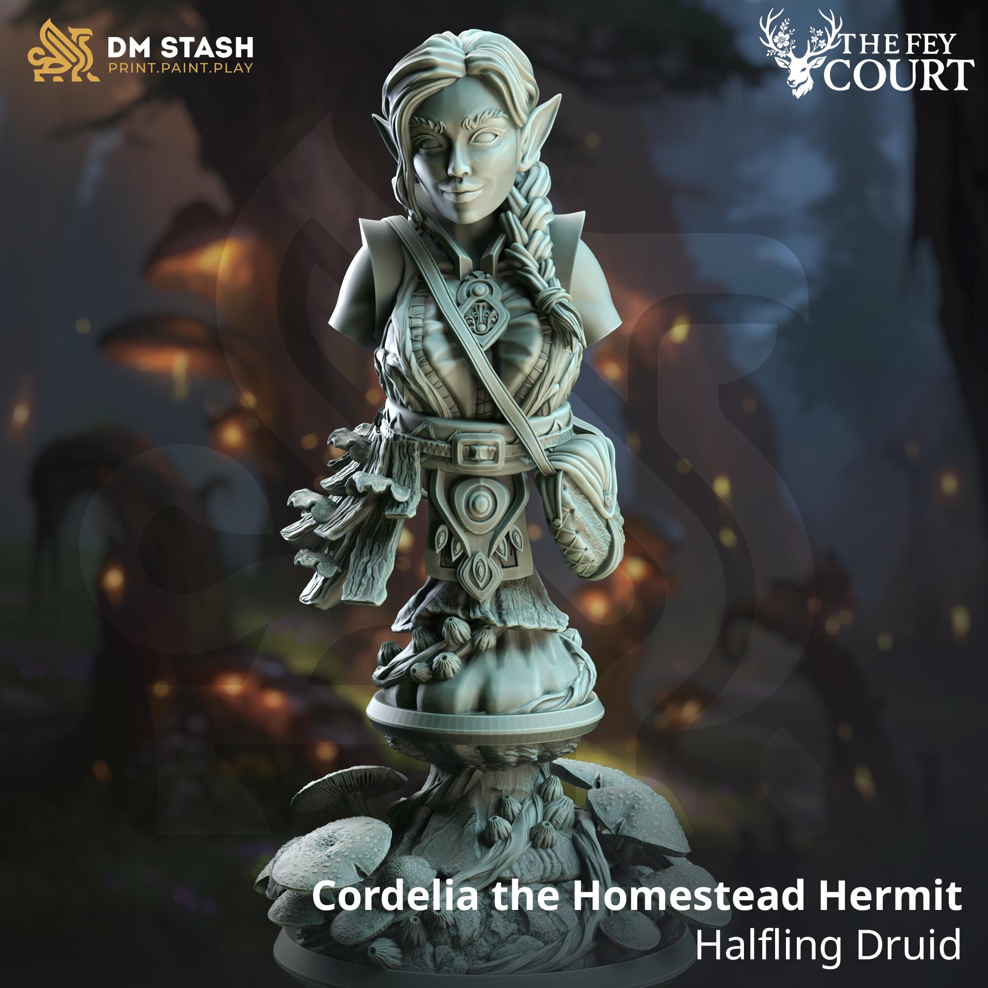 Cordelia the Homestead Hermit | Paintable Bust 3D Resin Printed Miniature by DM Stash