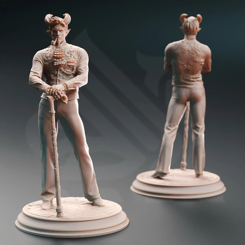Xarvir Barikdral – The Fortunate | Paintable 3D Resin Printed Miniature by DM Stash