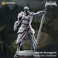 Welcome to the Arena May 2026 Release | Paintable 3D Resin Printed Miniature by DM Stash