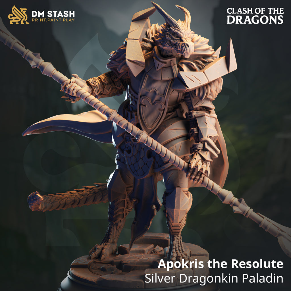 Clash of the Dragons June 2025 Release | Paintable 3D Resin Printed Miniature by DM Stash