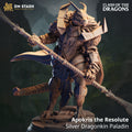 Clash of the Dragons June 2025 Release | Paintable 3D Resin Printed Miniature by DM Stash