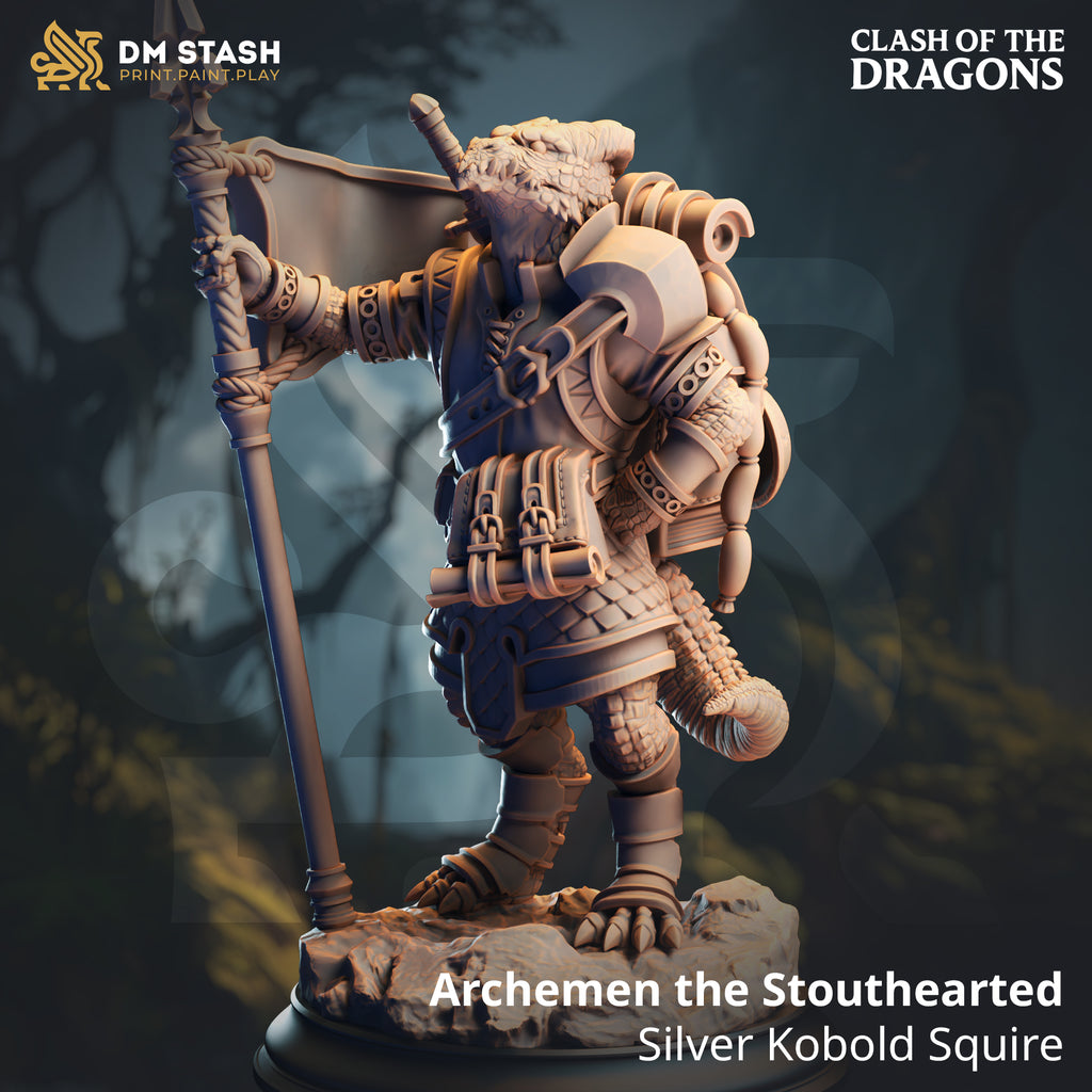Clash of the Dragons June 2025 Release | Paintable 3D Resin Printed Miniature by DM Stash