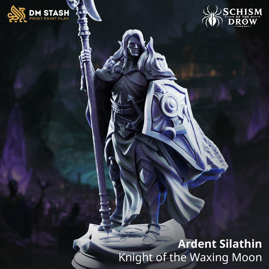 Schism of the Drow September 2026 Release | Paintable 3D Resin Printed Miniature by DM Stash