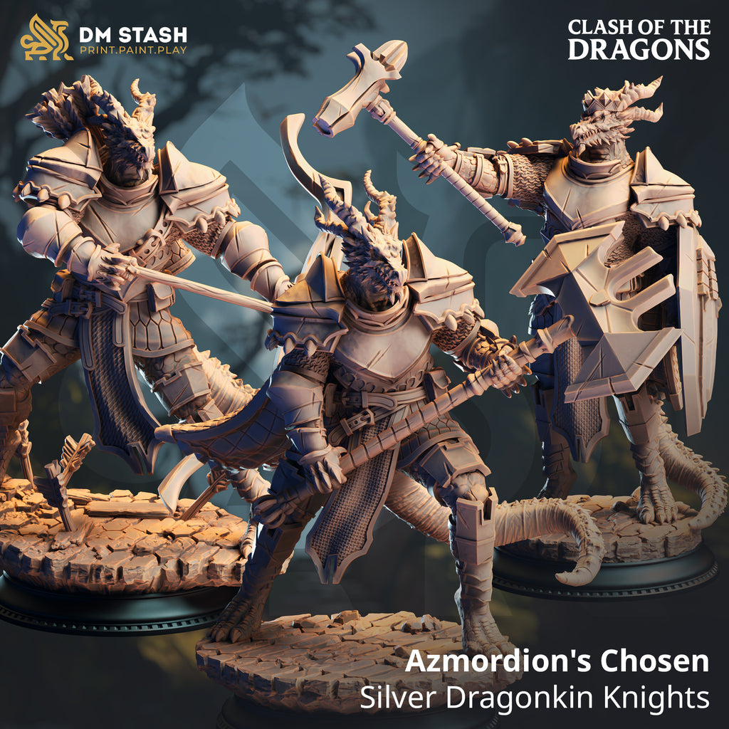 Clash of the Dragons June 2025 Release | Paintable 3D Resin Printed Miniature by DM Stash