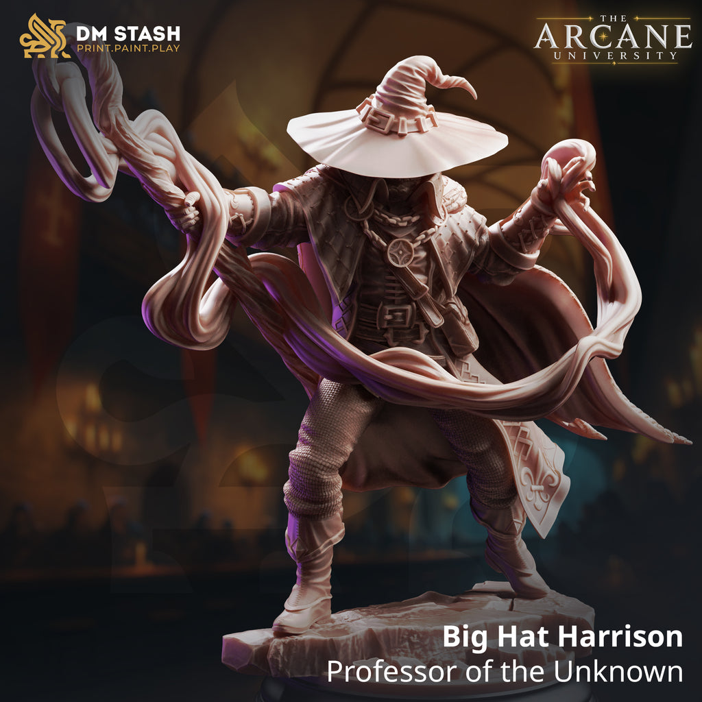 The Arcane University June 2026 Release | Paintable 3D Resin Printed Miniatures by DM Stash