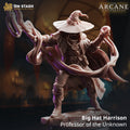 The Arcane University June 2026 Release | Paintable 3D Resin Printed Miniatures by DM Stash