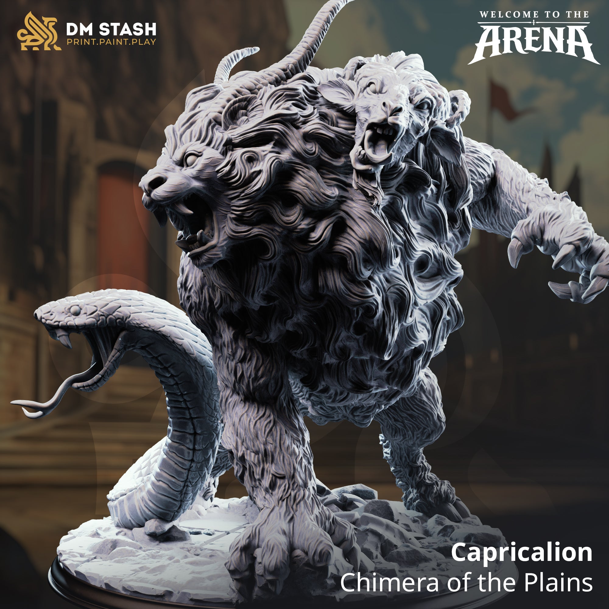 Welcome to the Arena May 2026 Release | Paintable 3D Resin Printed Miniature by DM Stash