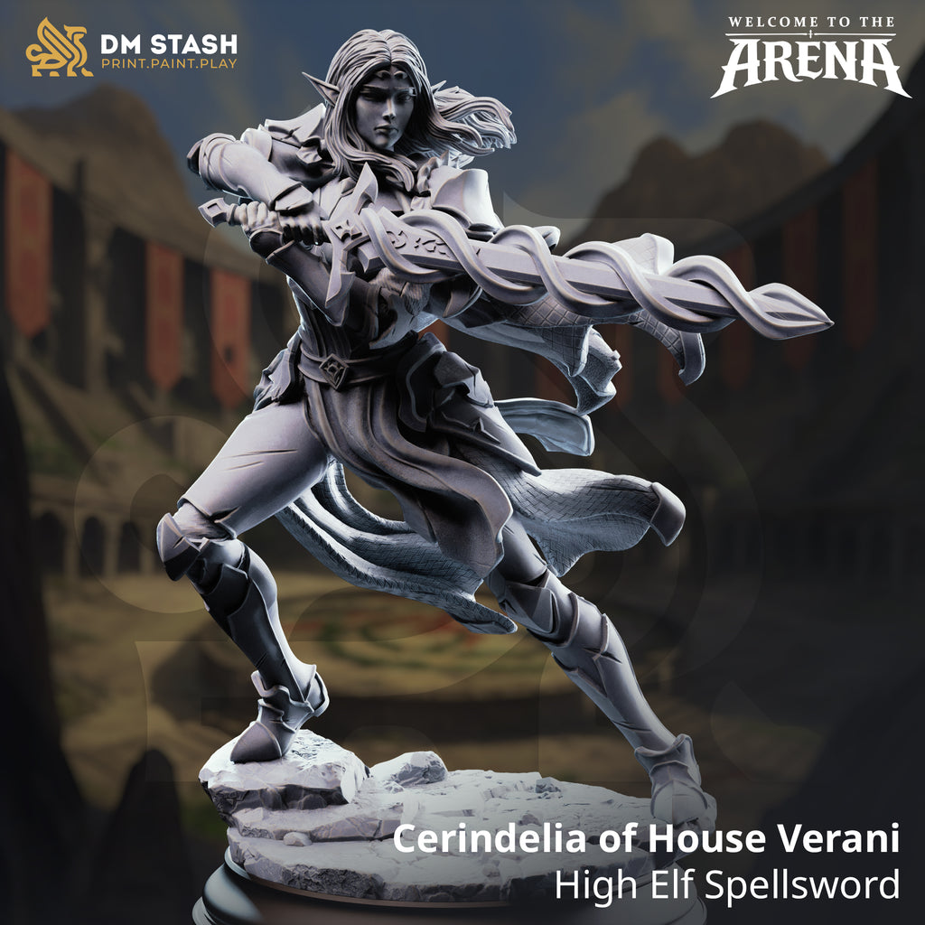 Welcome to the Arena May 2026 Release | Paintable 3D Resin Printed Miniature by DM Stash