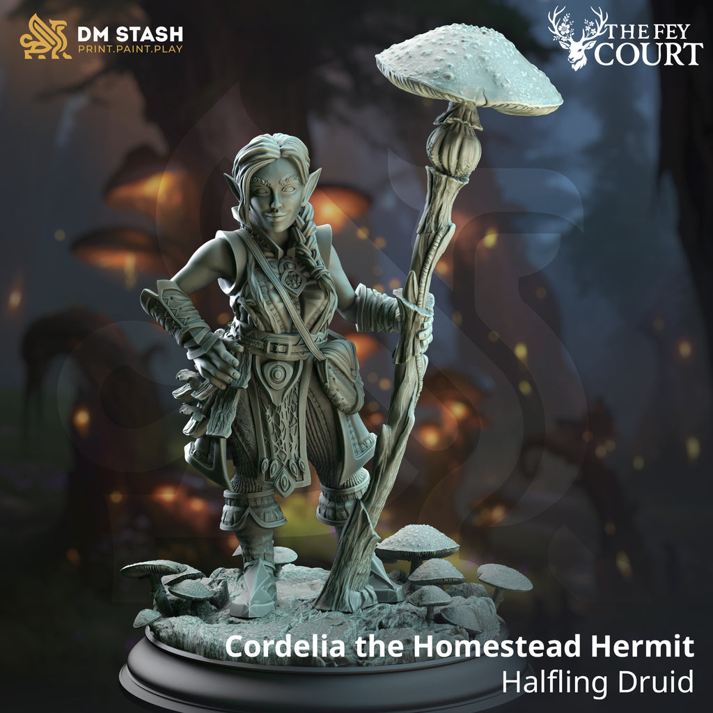 The Fey Court May 2025 Release | Paintable 3D Resin Printed Miniature by DM Stash