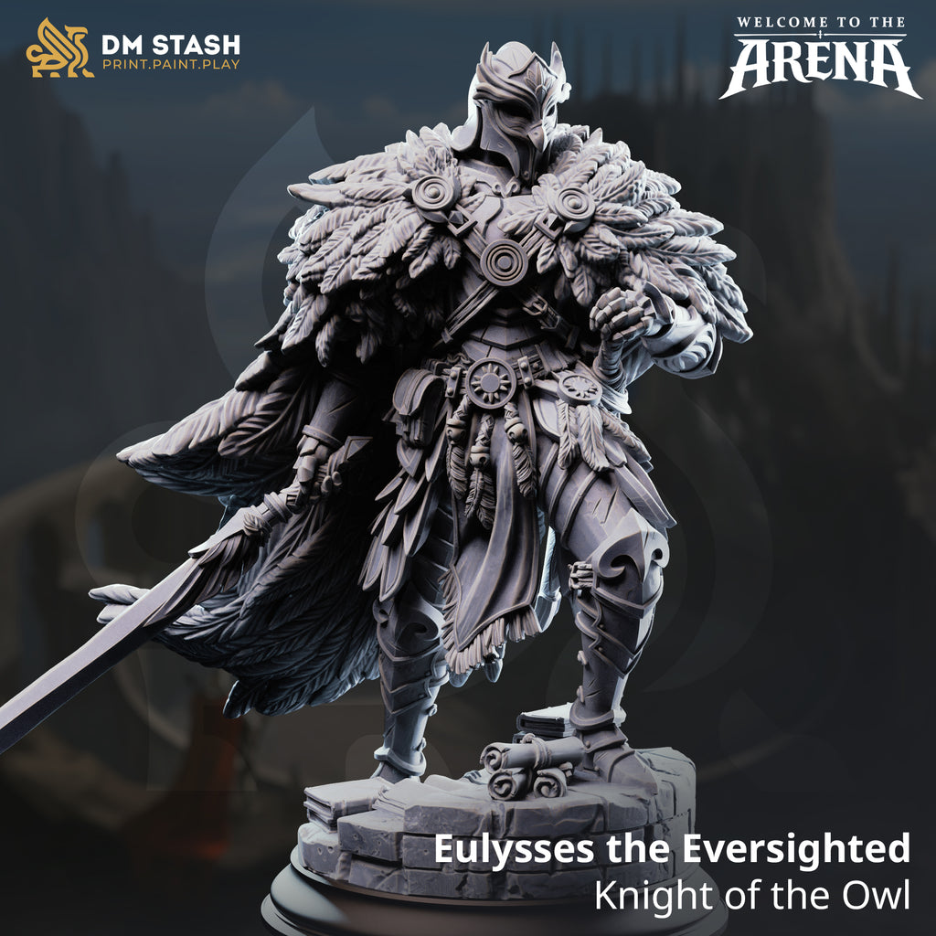 Welcome to the Arena May 2026 Release | Paintable 3D Resin Printed Miniature by DM Stash