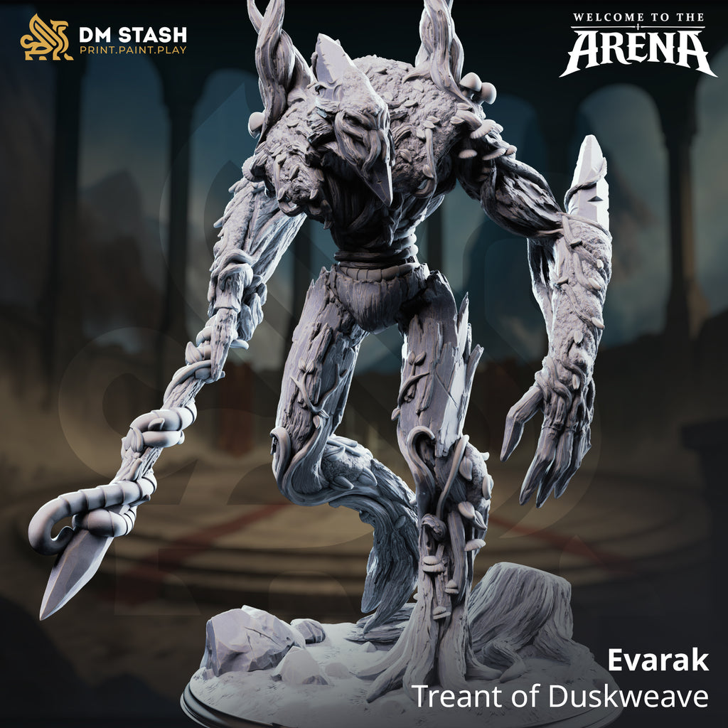Welcome to the Arena May 2026 Release | Paintable 3D Resin Printed Miniature by DM Stash