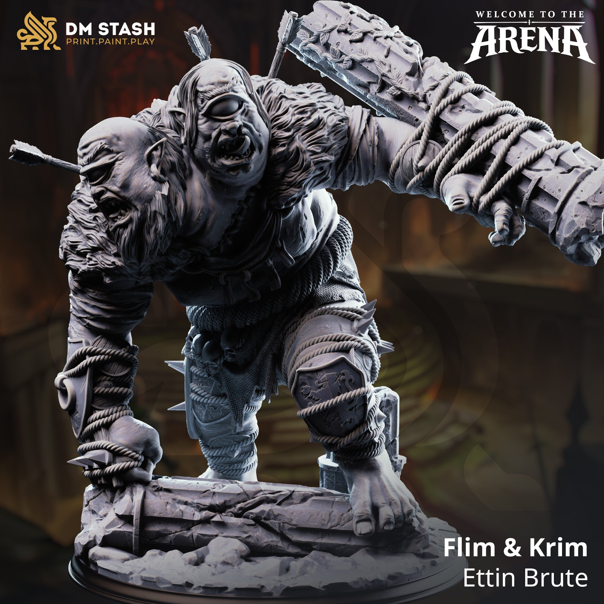 Welcome to the Arena May 2026 Release | Paintable 3D Resin Printed Miniature by DM Stash