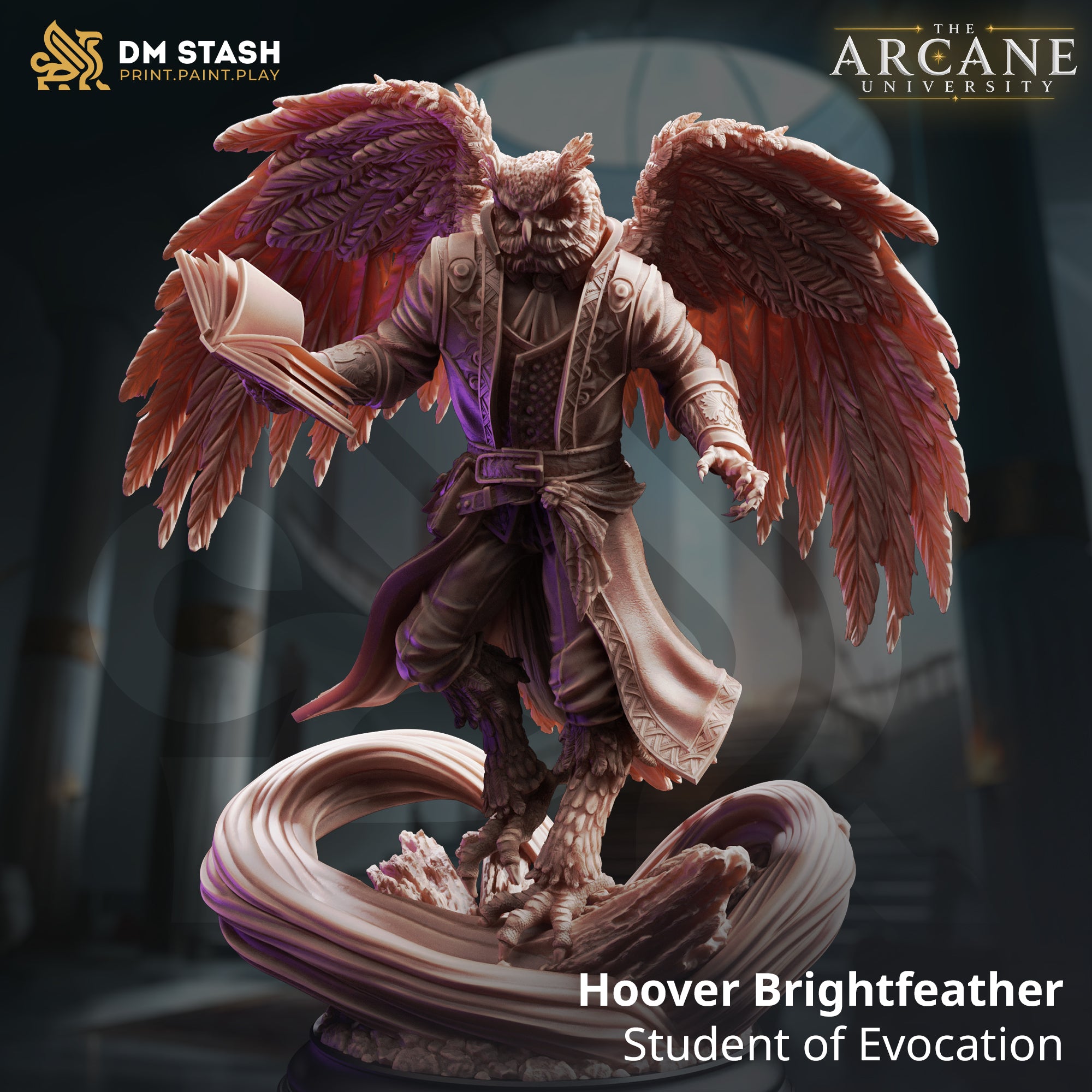 The Arcane University June 2026 Release | Paintable 3D Resin Printed Miniatures by DM Stash