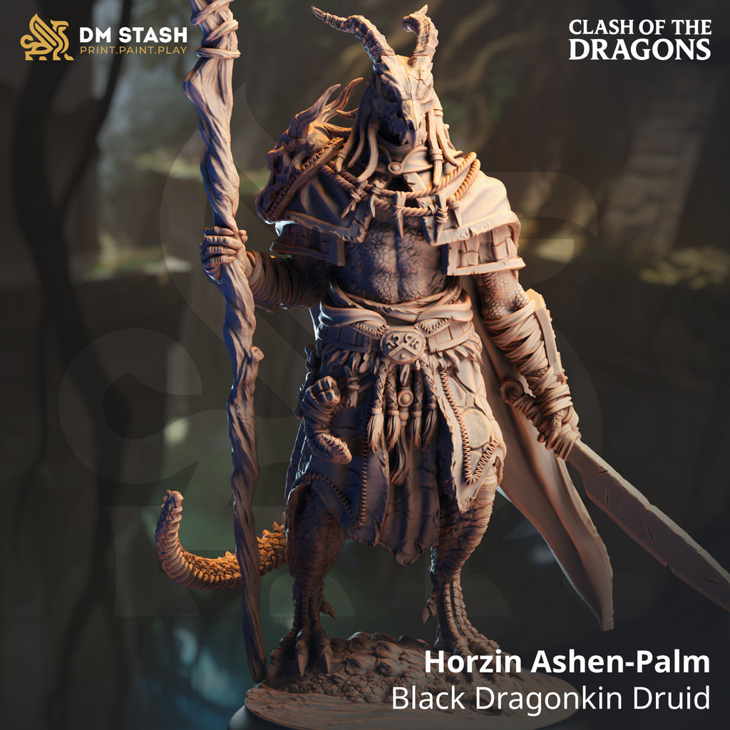 Clash of the Dragons June 2025 Release | Paintable 3D Resin Printed Miniature by DM Stash