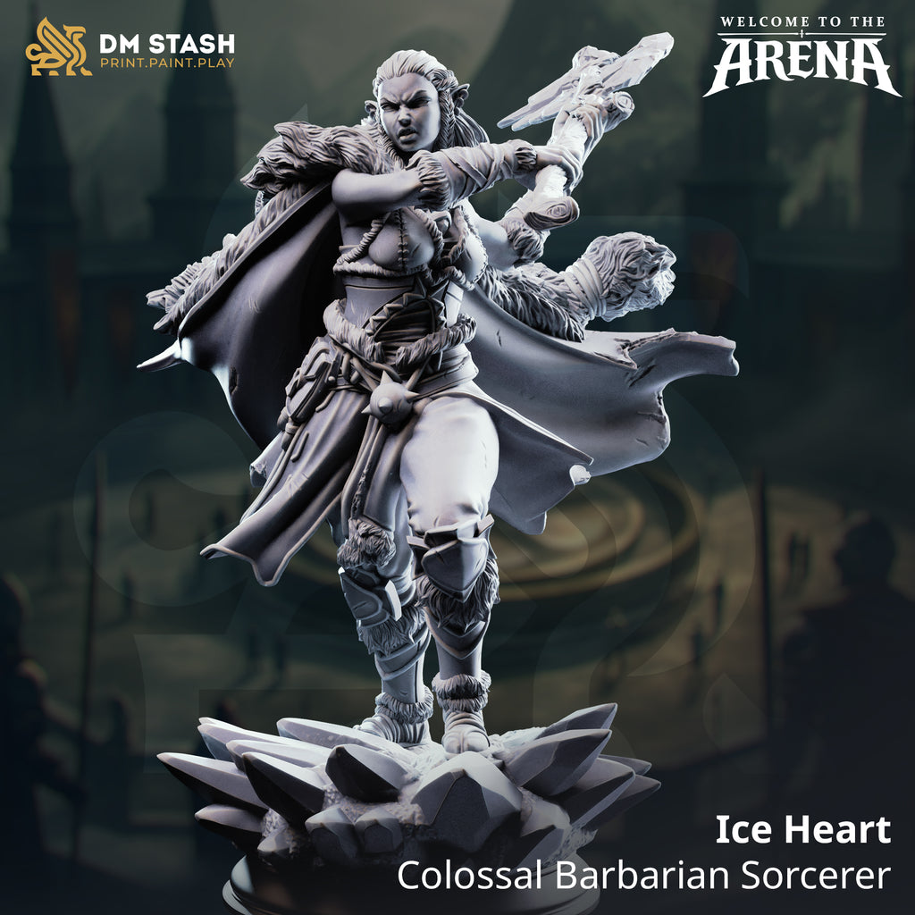 Welcome to the Arena May 2026 Release | Paintable 3D Resin Printed Miniature by DM Stash