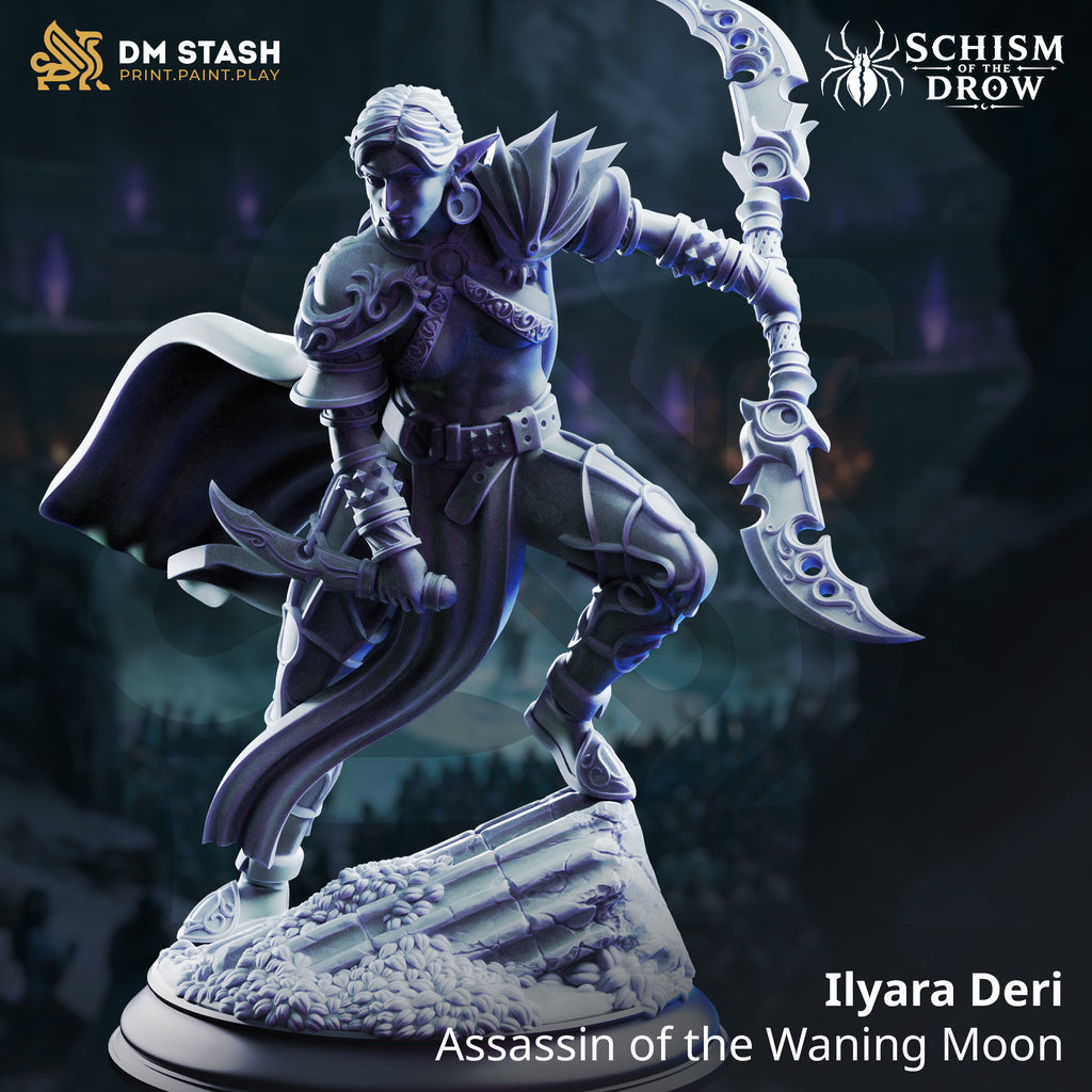 Schism of the Drow September 2026 Release | Paintable 3D Resin Printed Miniature by DM Stash