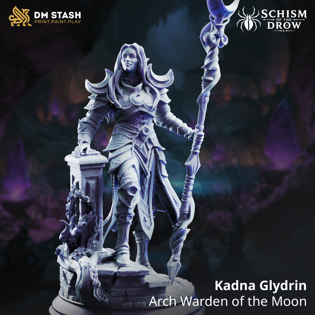 Schism of the Drow September 2026 Release | Paintable 3D Resin Printed Miniature by DM Stash