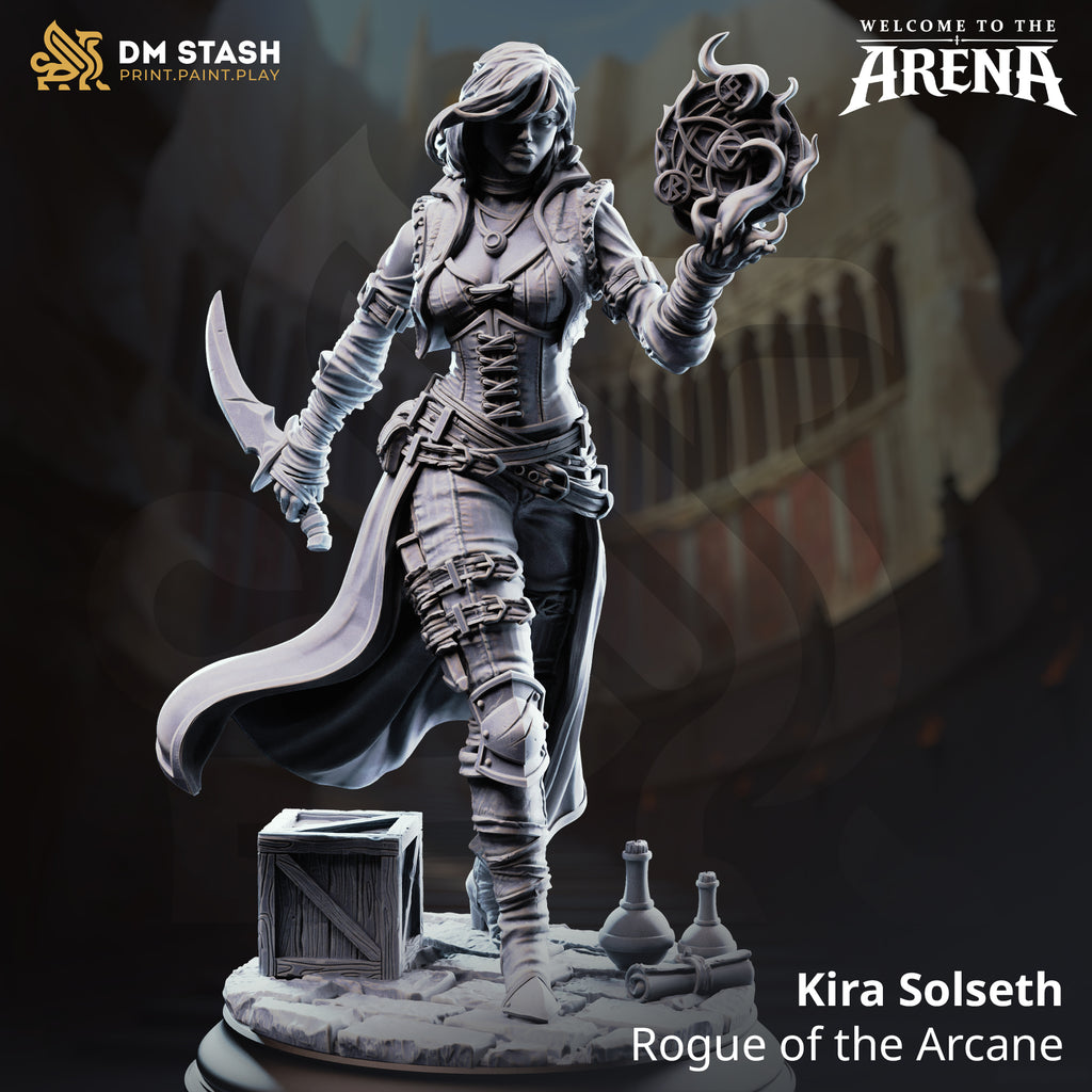 Welcome to the Arena May 2026 Release | Paintable 3D Resin Printed Miniature by DM Stash