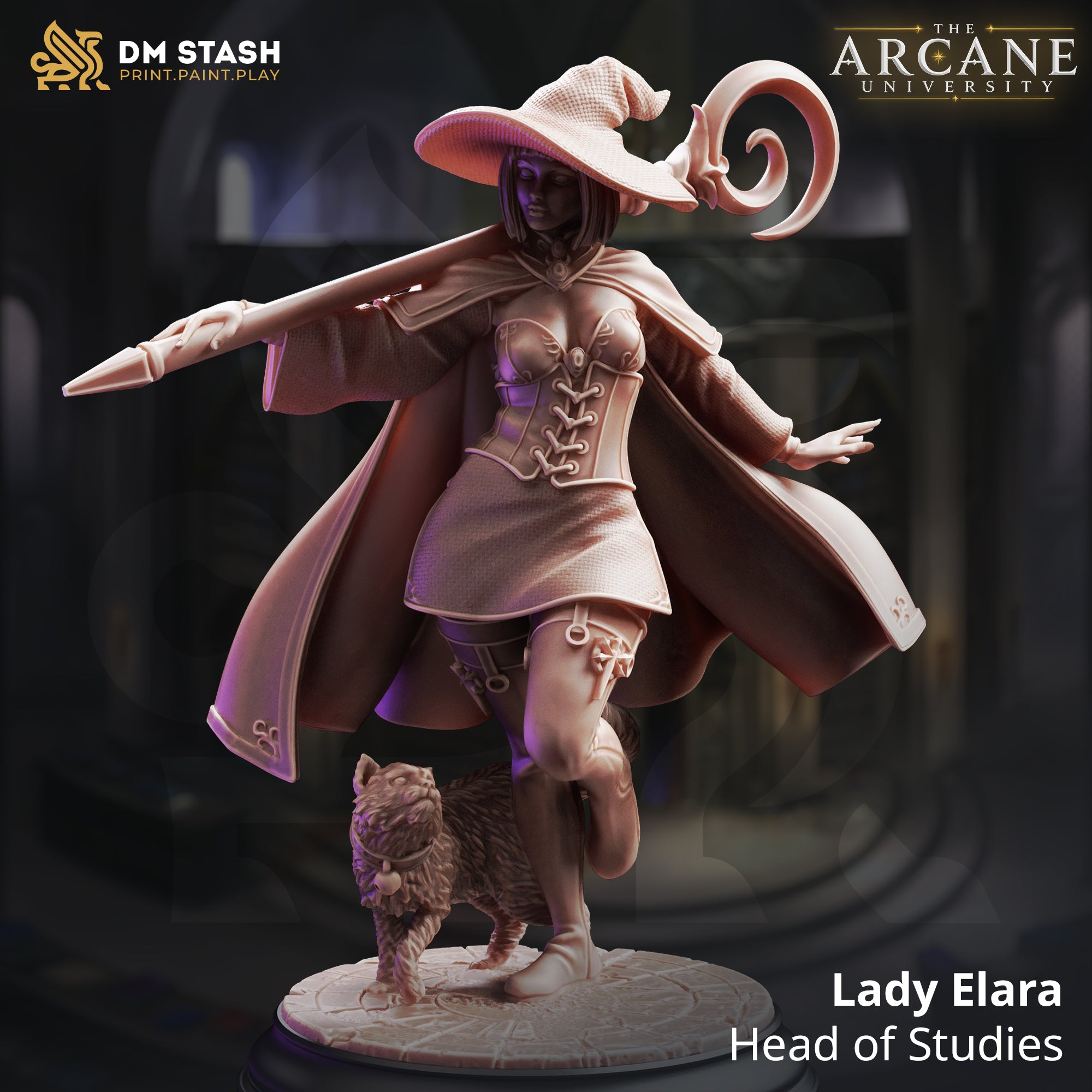 The Arcane University June 2026 Release | Paintable 3D Resin Printed Miniatures by DM Stash