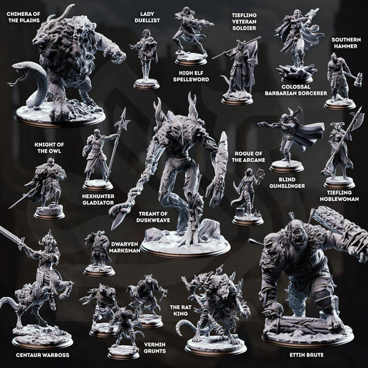 Welcome to the Arena May 2026 Release | Paintable 3D Resin Printed Miniature by DM Stash