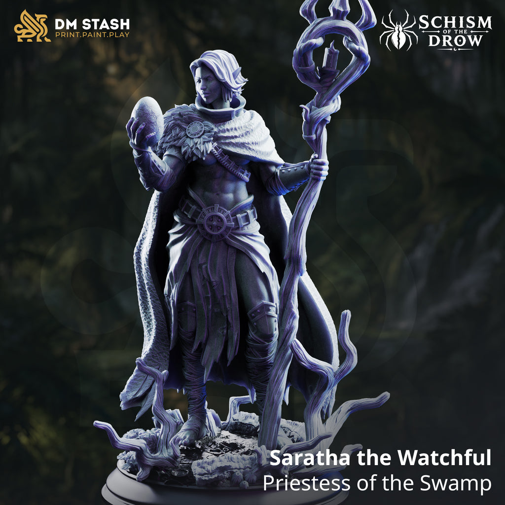 Schism of the Drow September 2026 Release | Paintable 3D Resin Printed Miniature by DM Stash