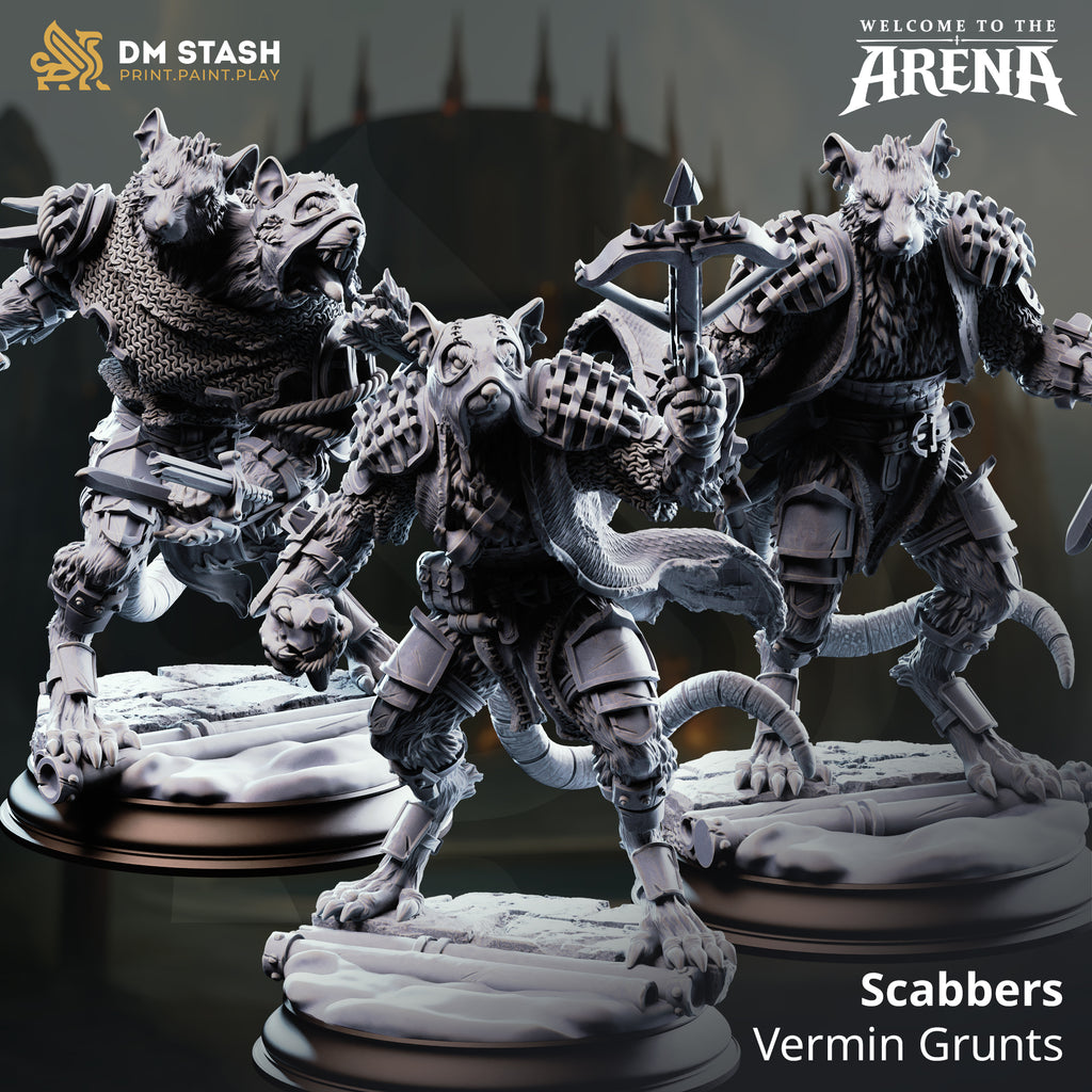 Welcome to the Arena May 2026 Release | Paintable 3D Resin Printed Miniature by DM Stash