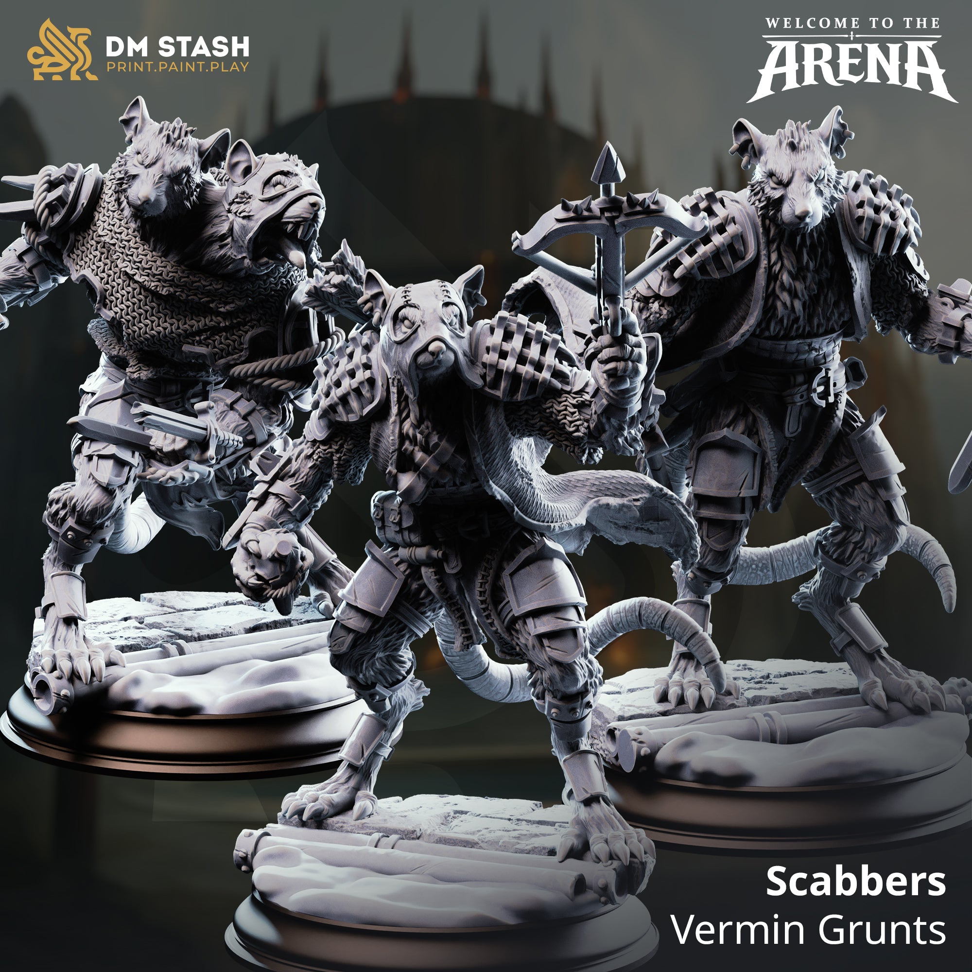 Welcome to the Arena May 2026 Release | Paintable 3D Resin Printed Miniature by DM Stash