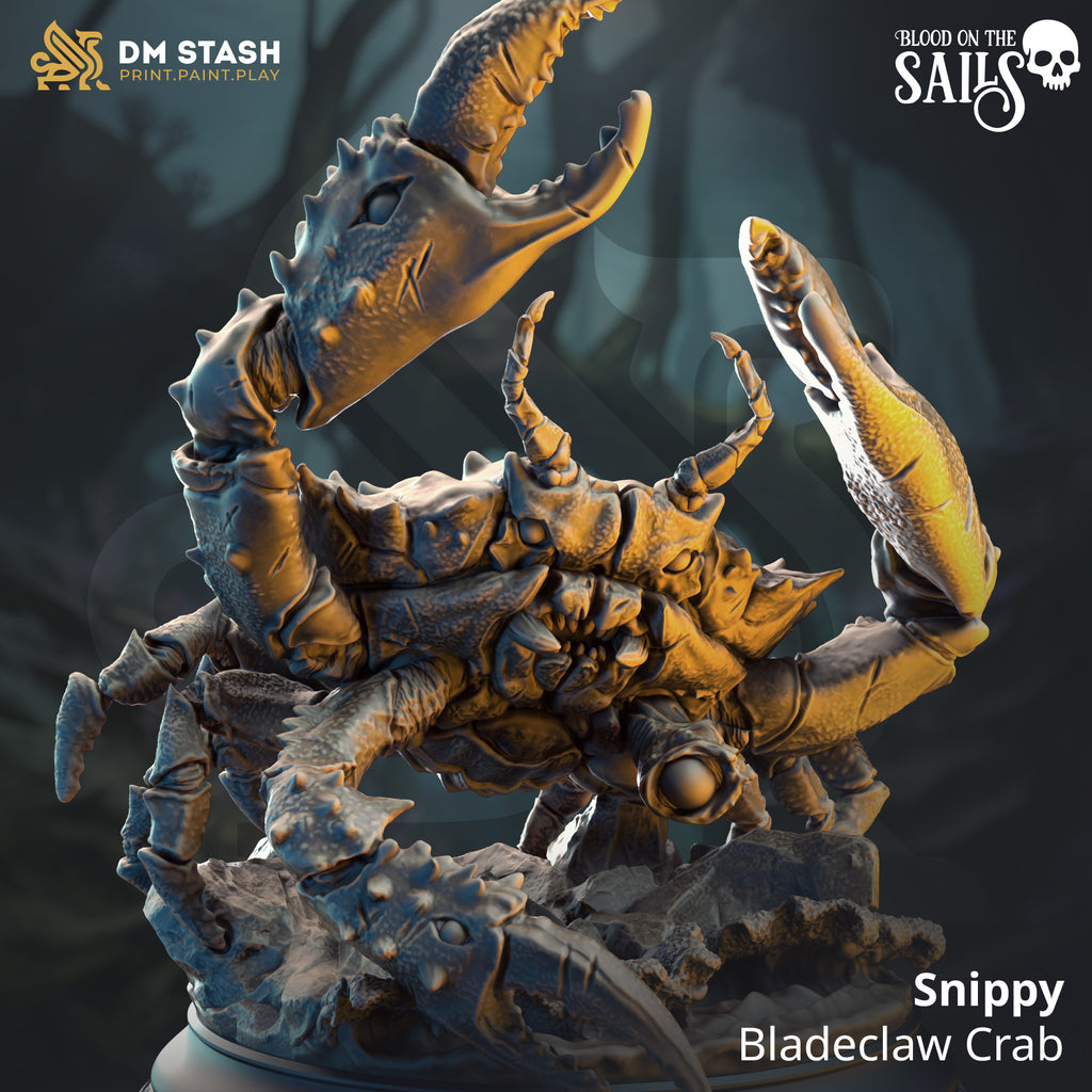 Blood on the Sails July 2025 Release | Paintable 3D Resin Printed Miniature by DM Stash