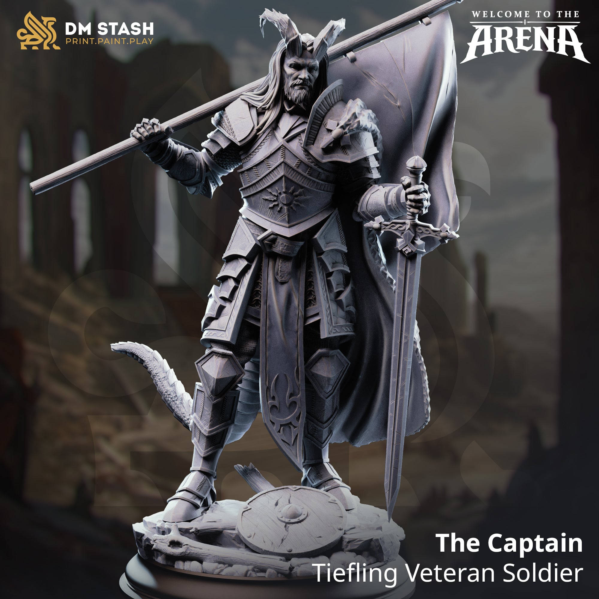 Welcome to the Arena May 2026 Release | Paintable 3D Resin Printed Miniature by DM Stash