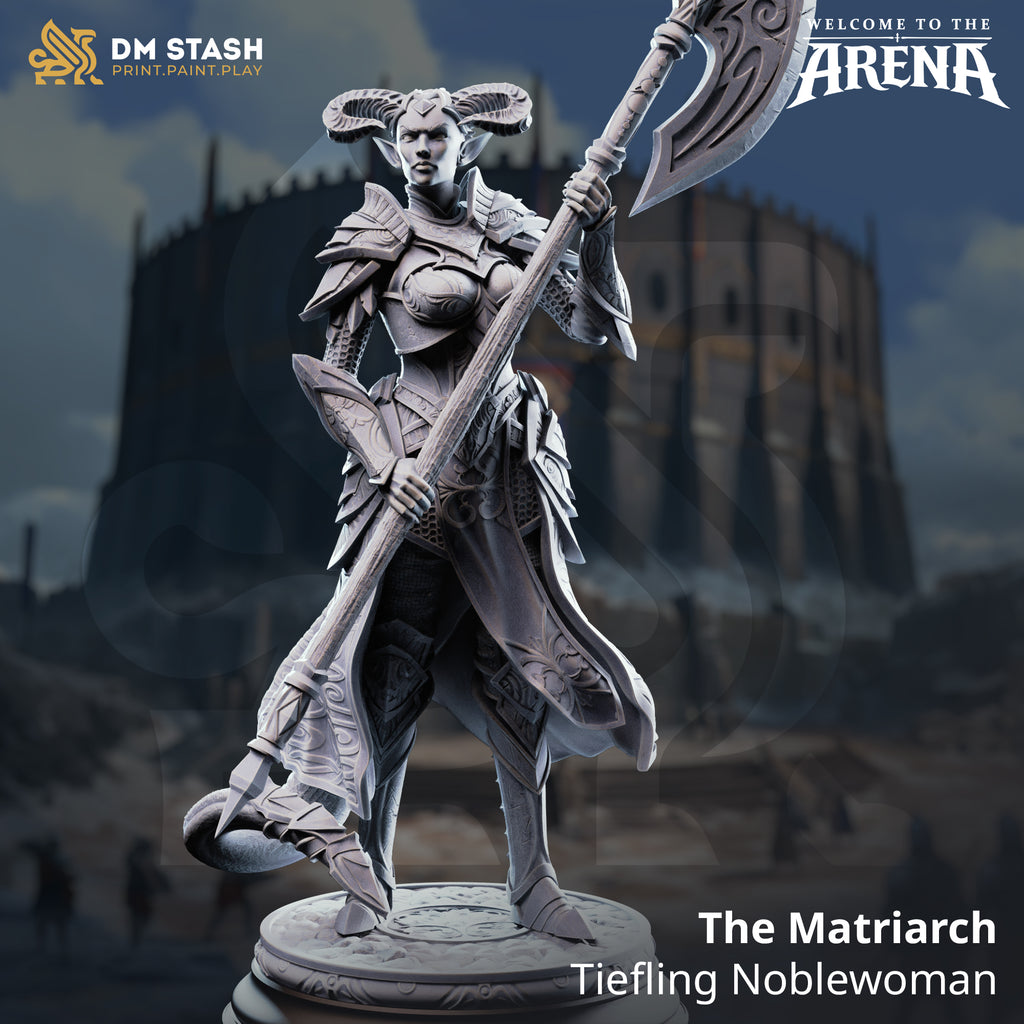 Welcome to the Arena May 2026 Release | Paintable 3D Resin Printed Miniature by DM Stash