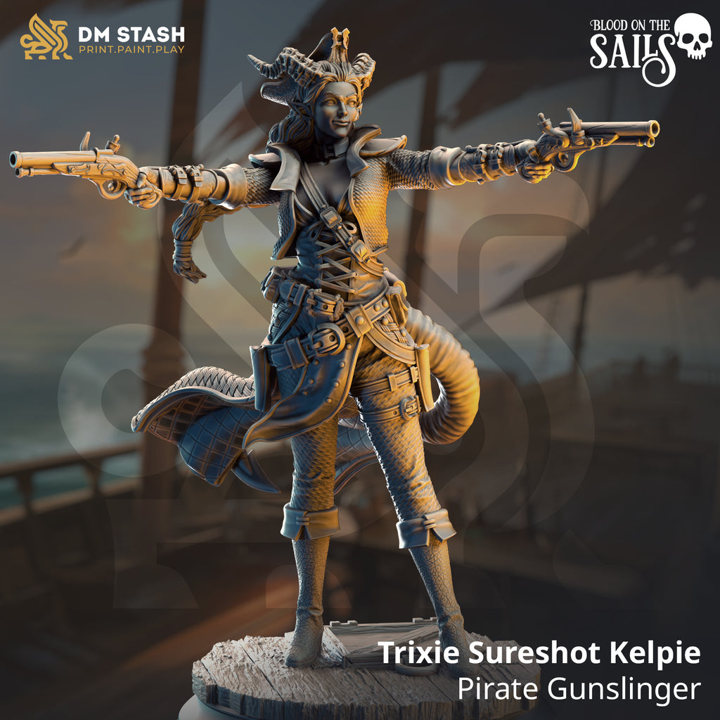 Blood on the Sails July 2025 Release | Paintable 3D Resin Printed Miniature by DM Stash