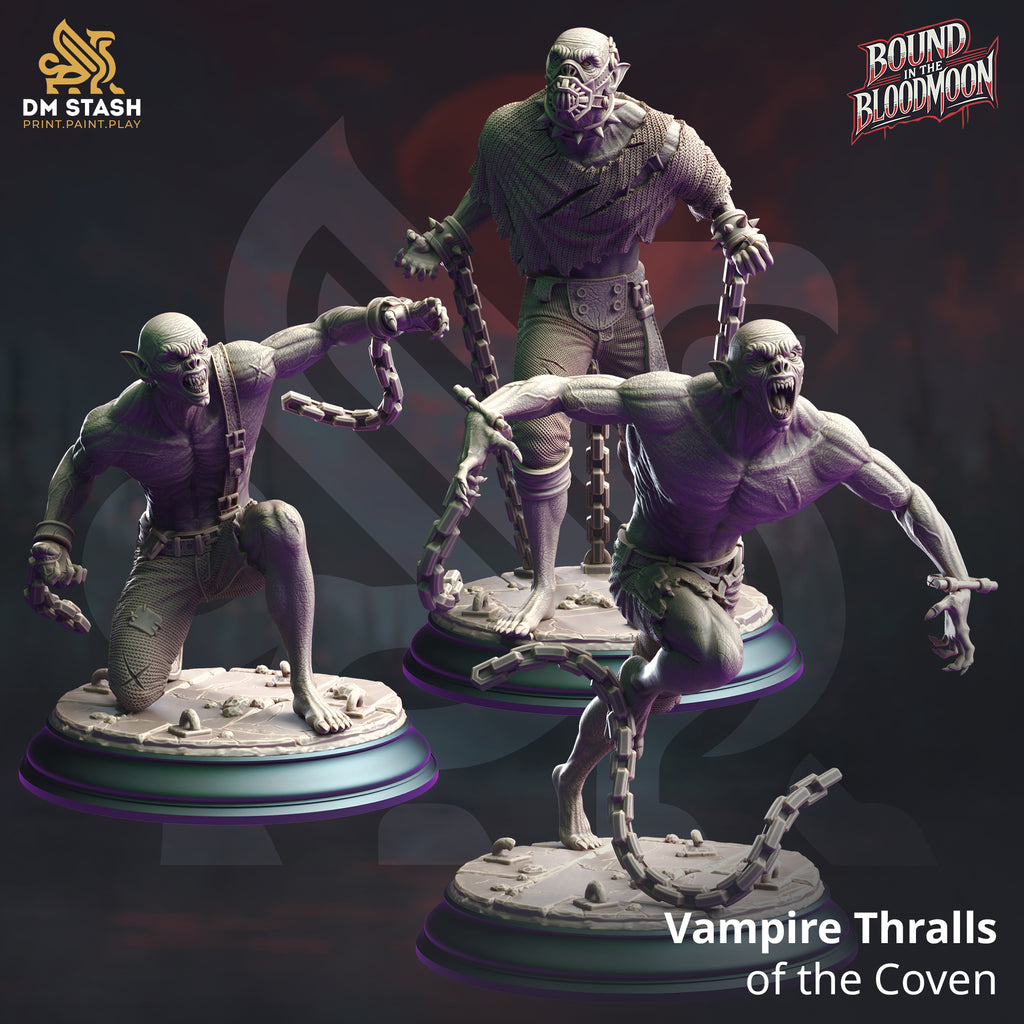 Bound in the Bloodmoon October 2024 Release | Paintable 3D Resin Printed Miniature by DM Stash