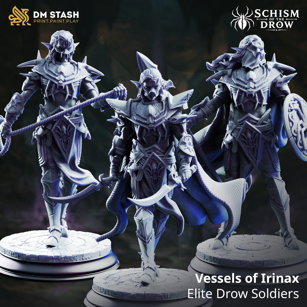 Schism of the Drow September 2026 Release | Paintable 3D Resin Printed Miniature by DM Stash