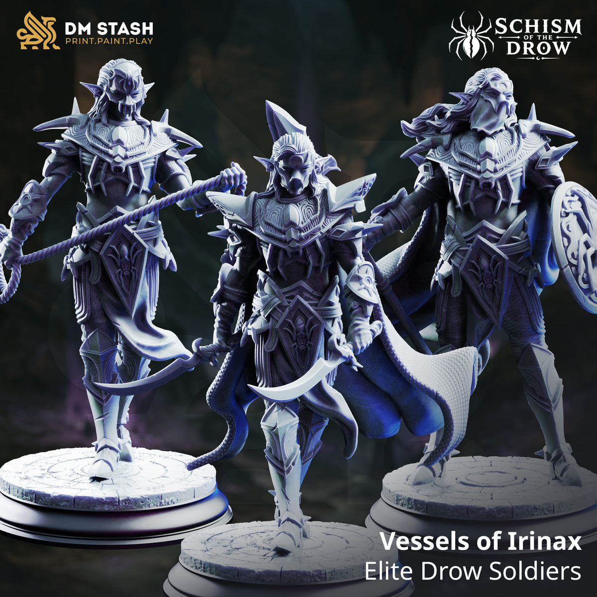Schism of the Drow September 2026 Release | Paintable 3D Resin Printed Miniature by DM Stash