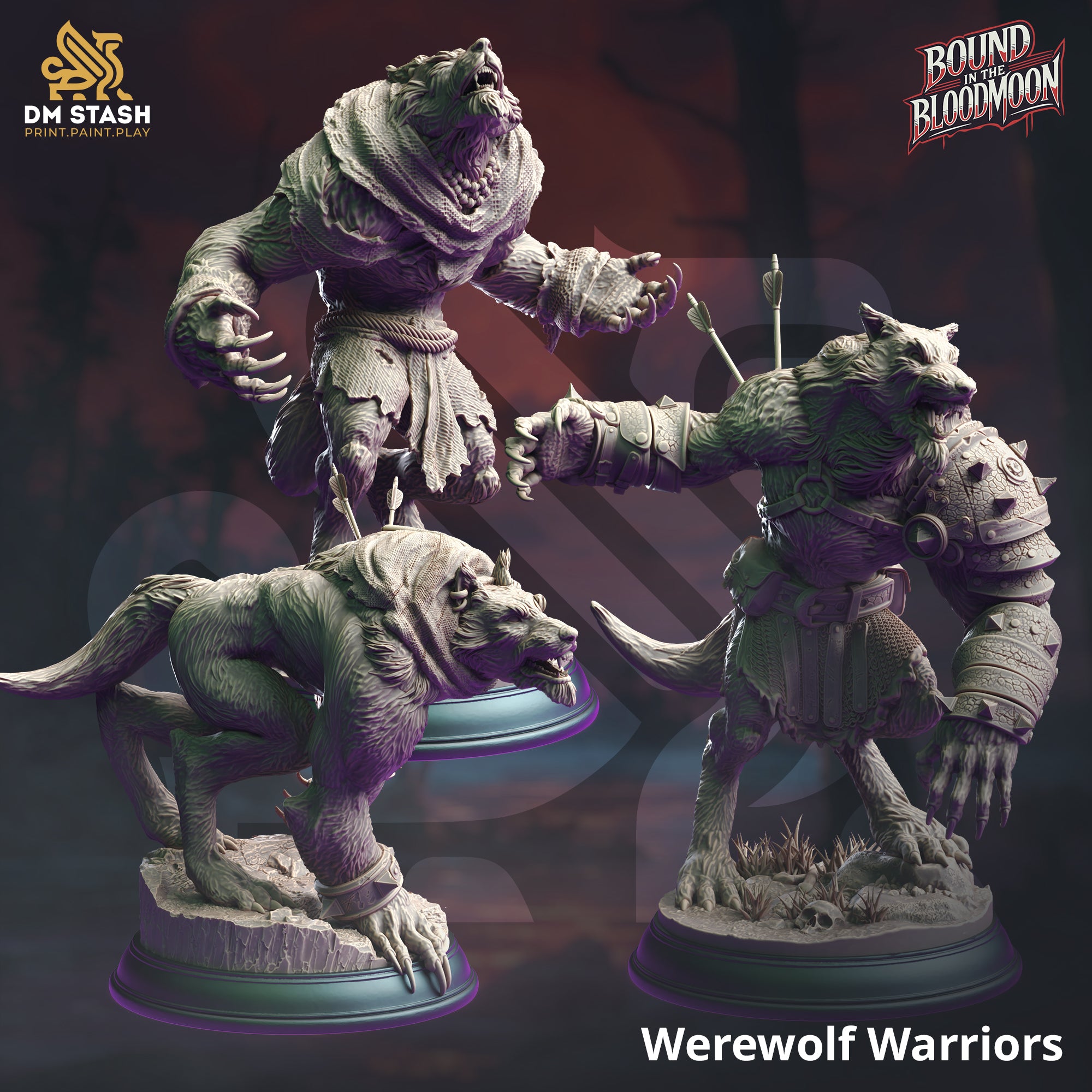 Bound in the Bloodmoon October 2024 Release | Paintable 3D Resin Printed Miniature by DM Stash