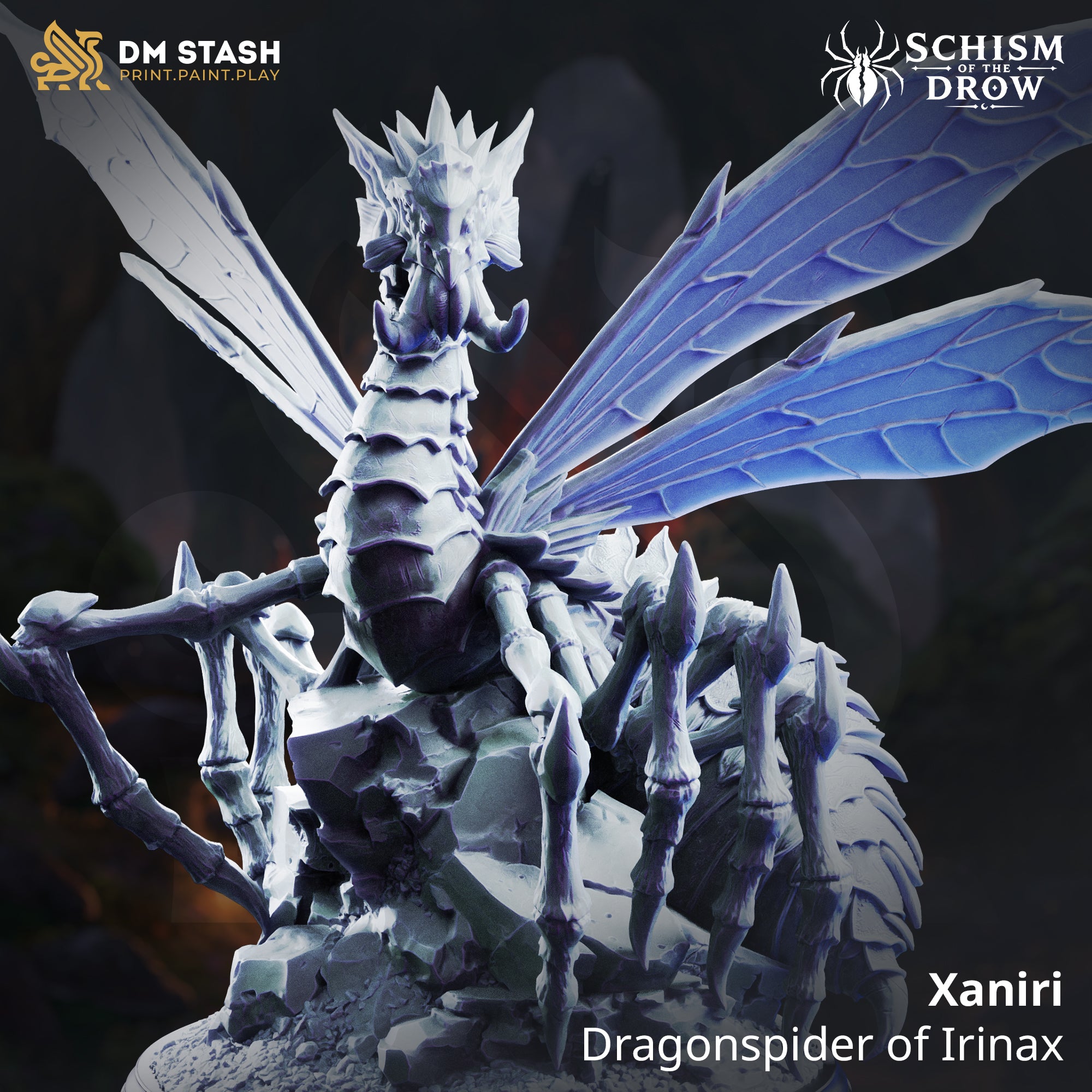 Schism of the Drow September 2026 Release | Paintable 3D Resin Printed Miniature by DM Stash