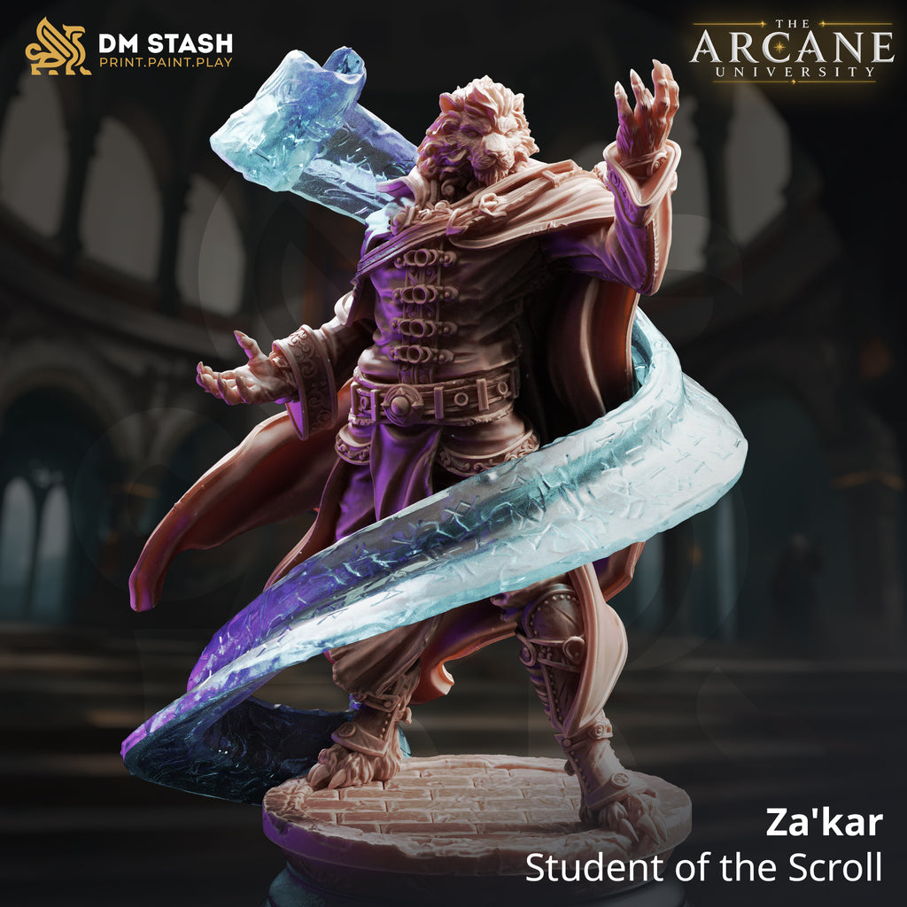 The Arcane University June 2026 Release | Paintable 3D Resin Printed Miniatures by DM Stash