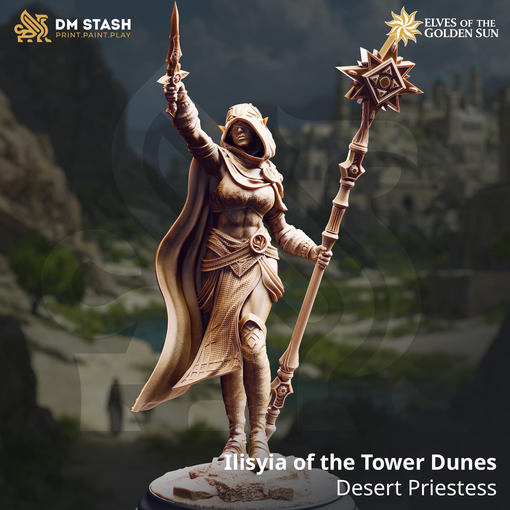 Elves of the Golden Sun February 2026 Release | Paintable 3D Resin Printed Miniature by DM Stash