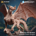 Midorius the Broken – Juvenile Green Dragon | Paintable 3D Resin Printed Miniature by DM Stash