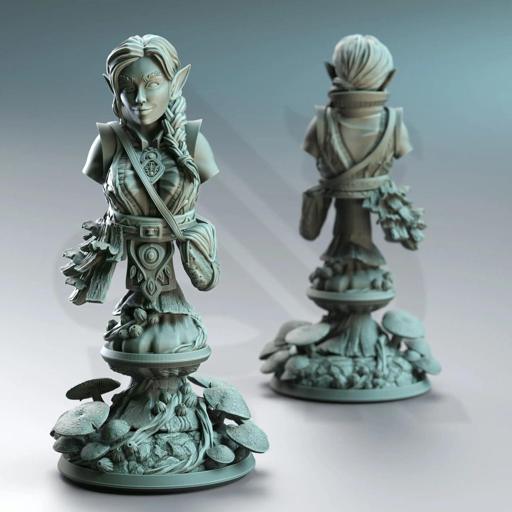 Cordelia the Homestead Hermit | Paintable Bust 3D Resin Printed Miniature by DM Stash